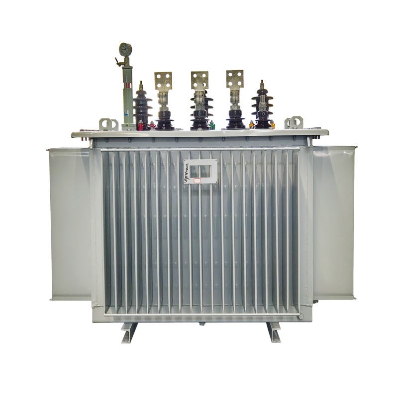 oil-immersed transformer